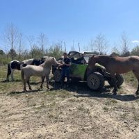 Hillbilly Heaven Campground ico