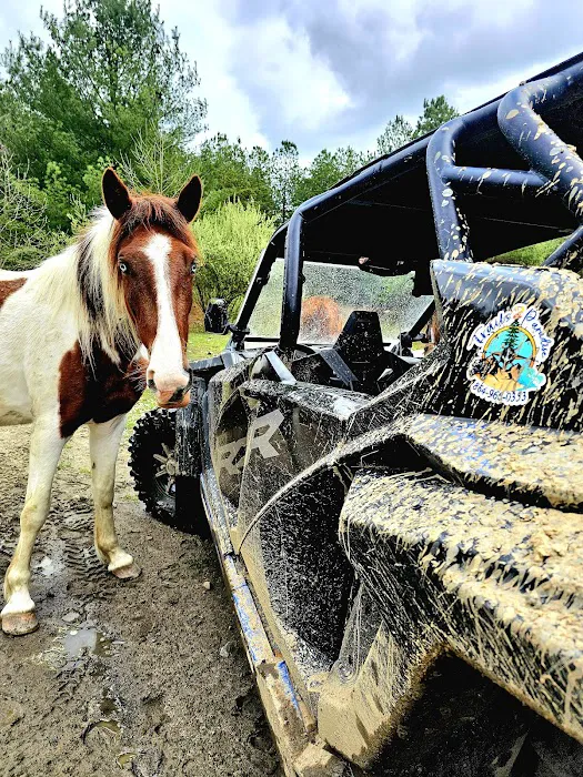 Trails 2 Paradise Picture 5