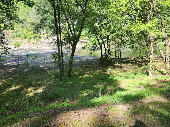 Guyandotte Campground Picture 8