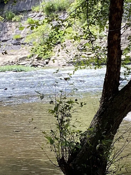 Guyandotte Campground Picture 9