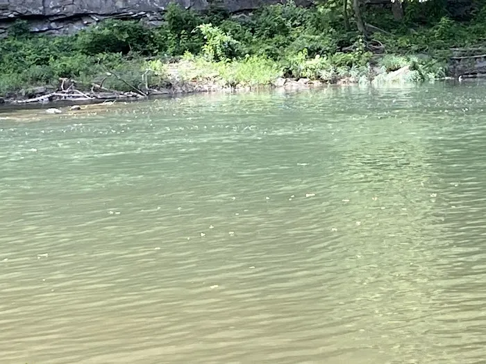 Guyandotte Campground Picture 3