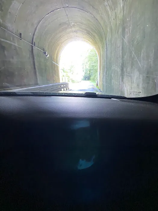 Guyandotte Campground Picture 2