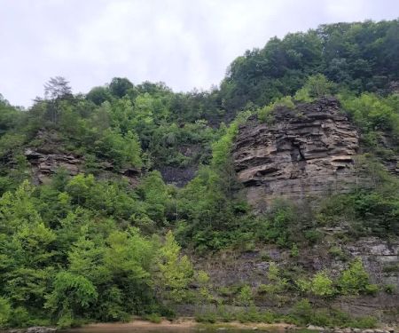 Guyandotte Campground