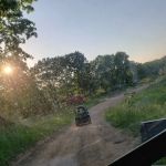 Poppy Mountain Experience