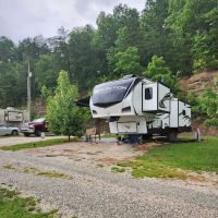 Wild Cat Camping and Fishing ico