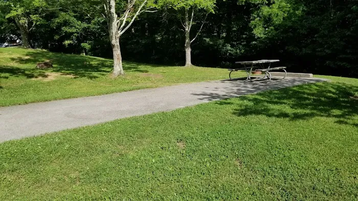 Paint Creek Campground Picture 7