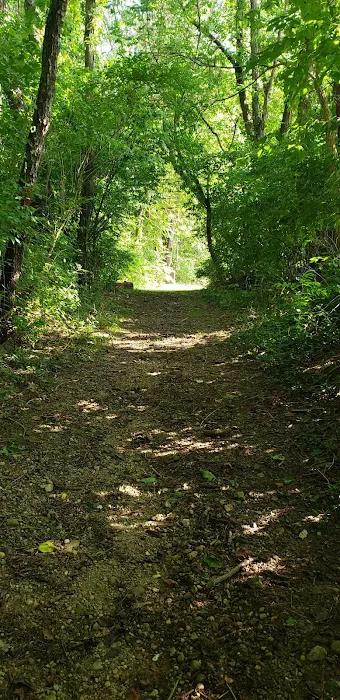 Paint Creek Horse Camp Picture 3