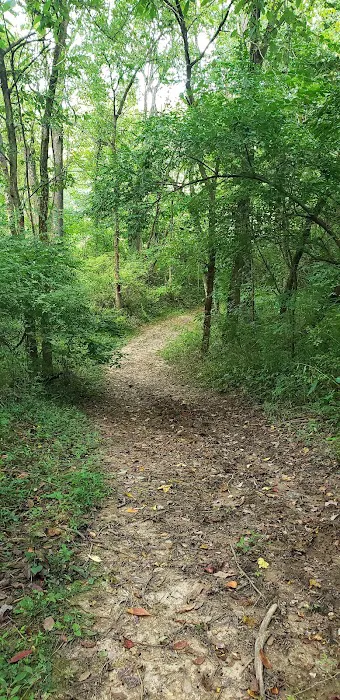 Paint Creek Horse Camp Picture 8