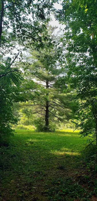 Paint Creek Horse Camp Picture 6