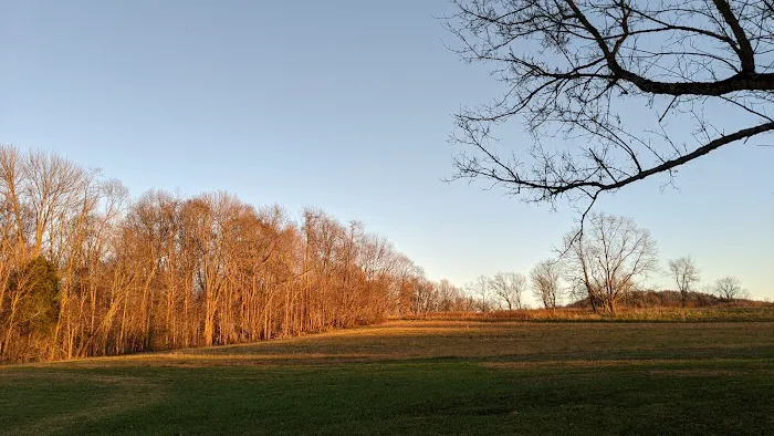 Camp Swallowtail Picture 5