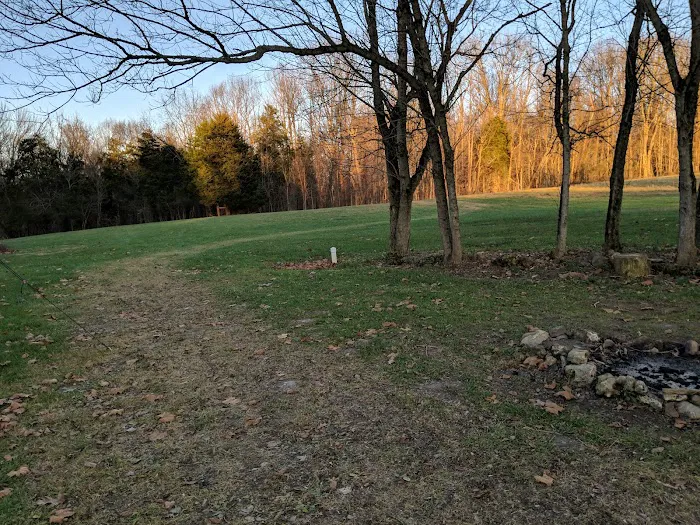 Camp Swallowtail Picture 9