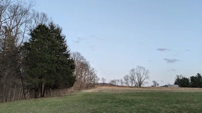 Camp Swallowtail Picture 4