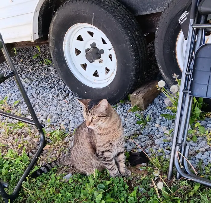 Our Family Campground Picture 8