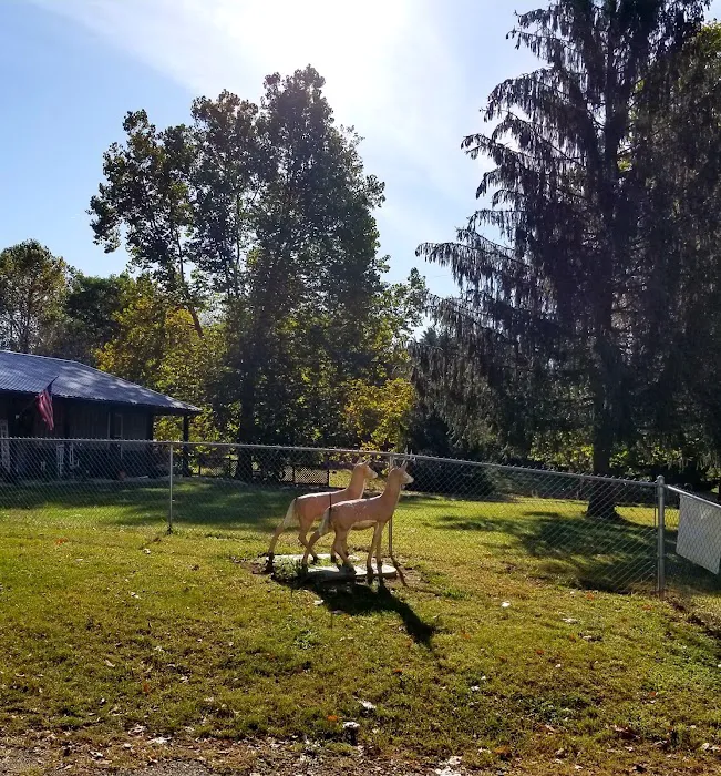 Shady Trails Family Campground Picture 9