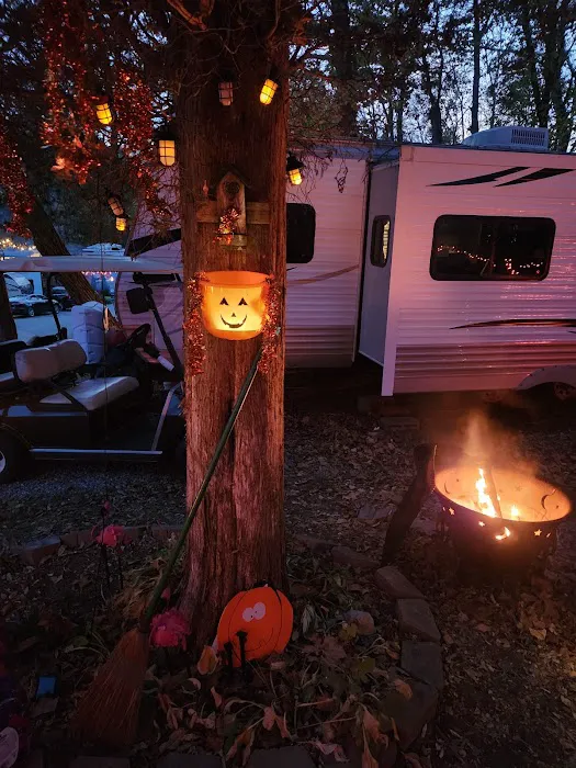 shady trails campground Picture 2