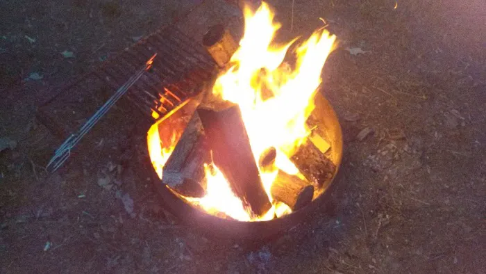 shady trails campground Picture 7