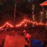 shady trails campground