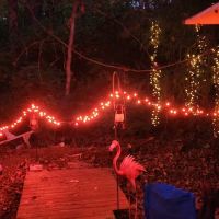 shady trails campground ico