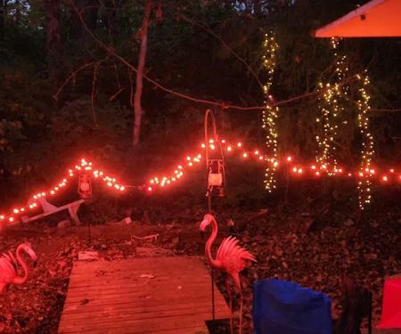 shady trails campground