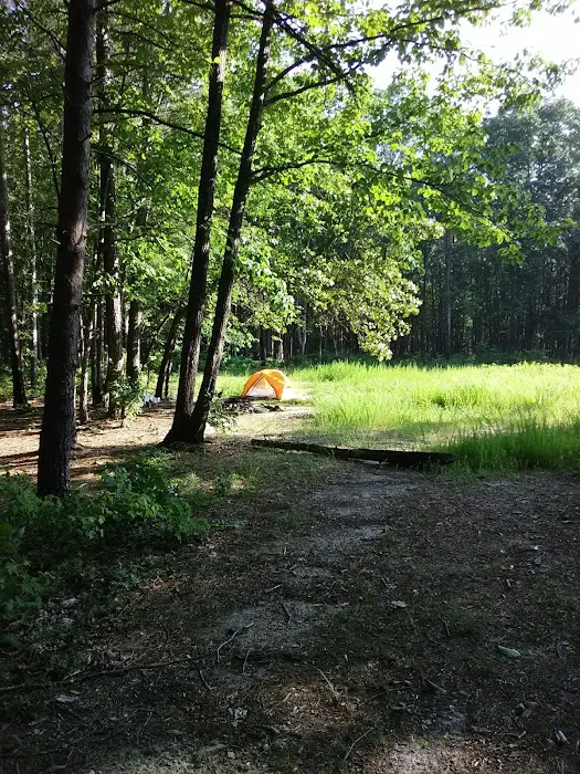East Morris Mountain Campground Picture 6