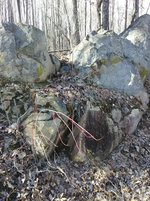 East Morris Mountain Campground Picture 2