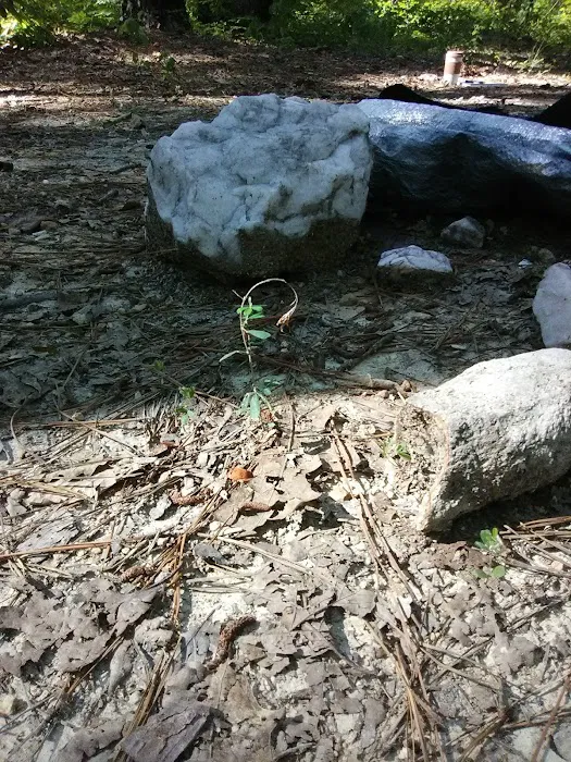 East Morris Mountain Campground Picture 4