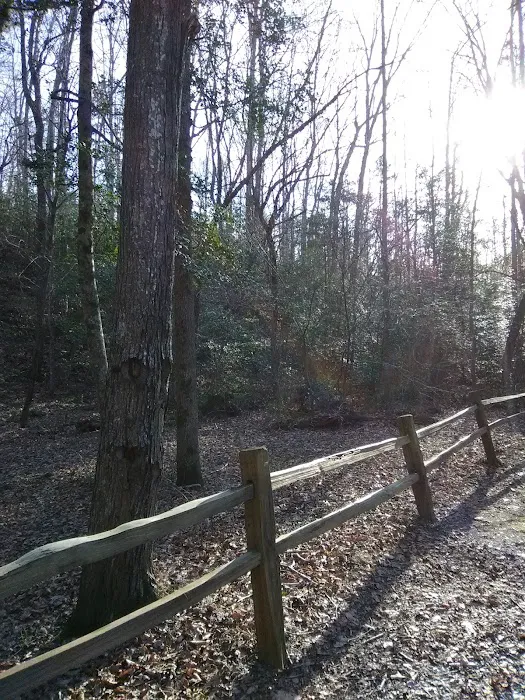 East Morris Mountain Campground Picture 3