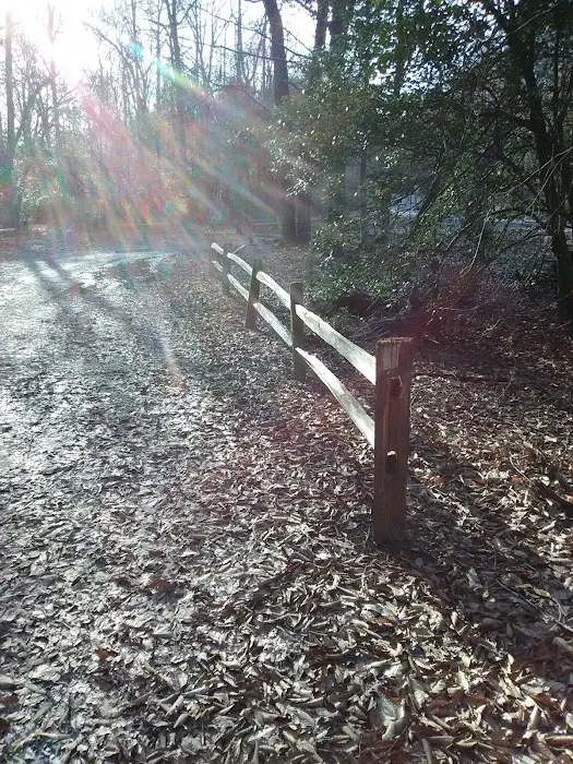 East Morris Mountain Campground Picture 10