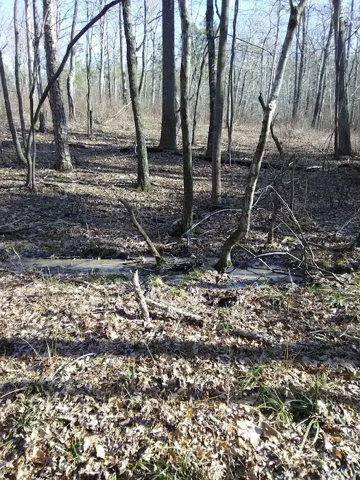 East Morris Mountain Campground Picture 5