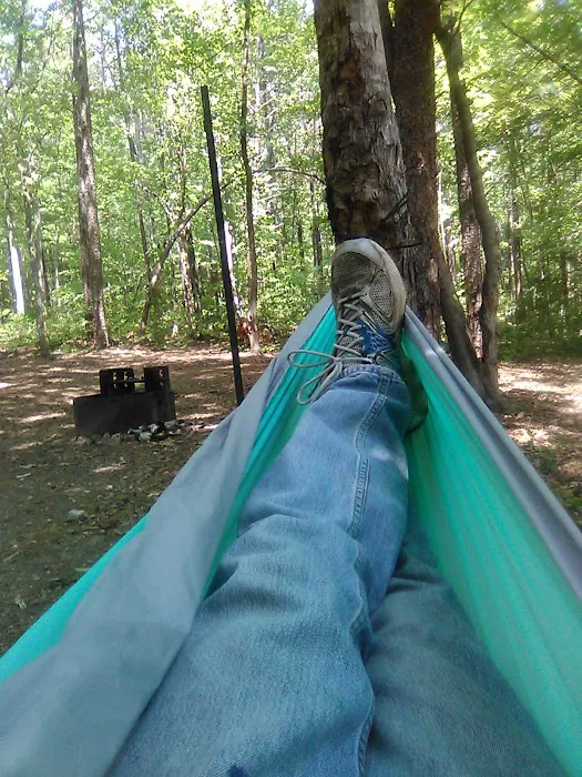 West Morris Mountain Campground Picture 8