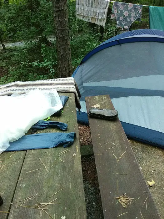 West Morris Mountain Campground Picture 4