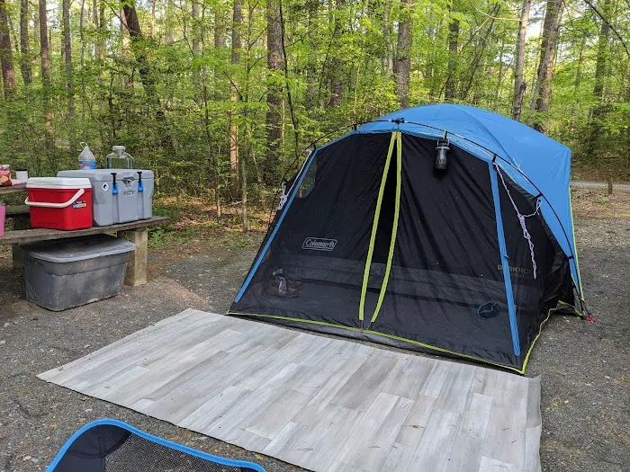 West Morris Mountain Campground Picture 5