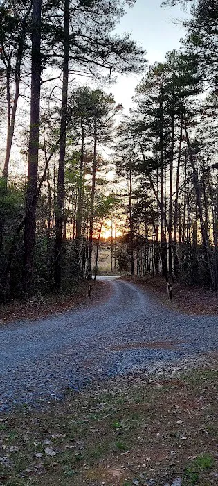 West Morris Mountain Campground Picture 3