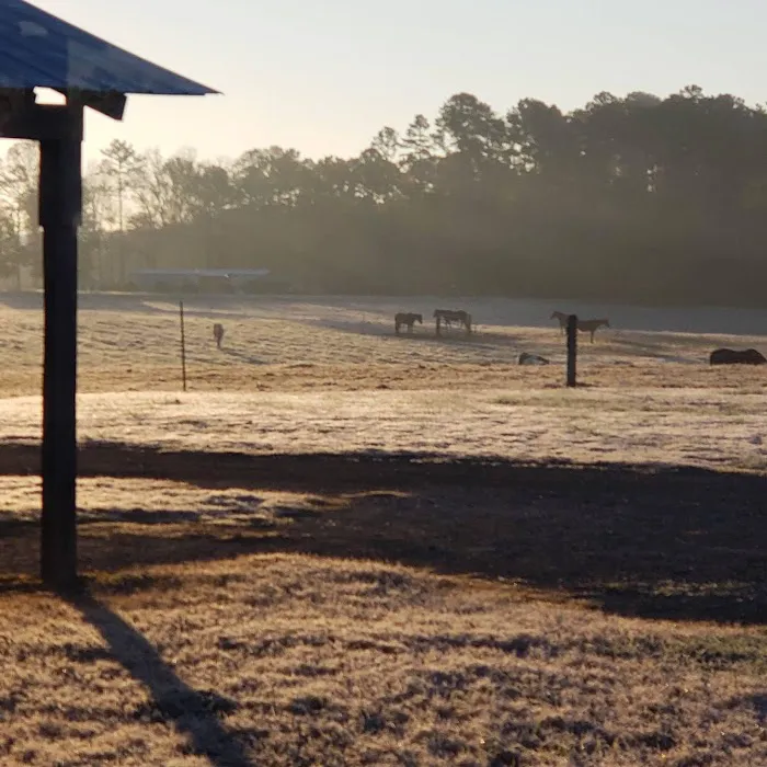 4B Farm & Campground Picture 7