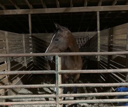 4B Farm & Campground