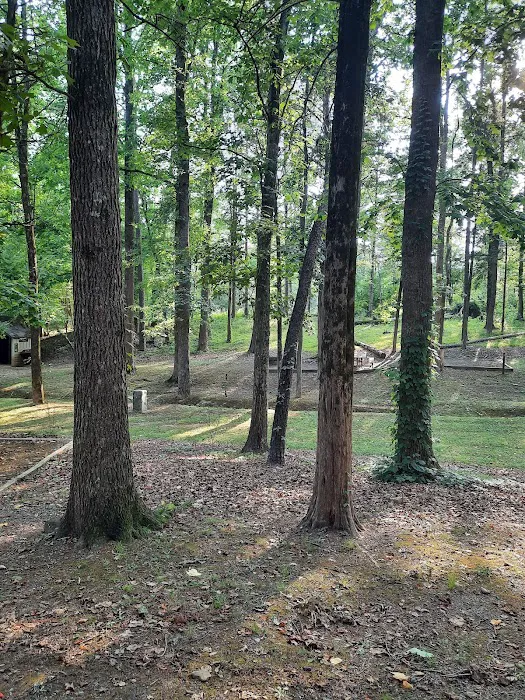 Uwharrie National Forest Hunt Camp Campgrounds Picture 5