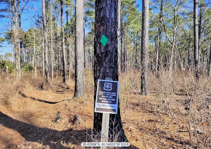 Canebrake Horse Camp Picture 9