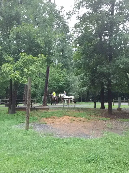 Canebrake Horse Camp Picture 6
