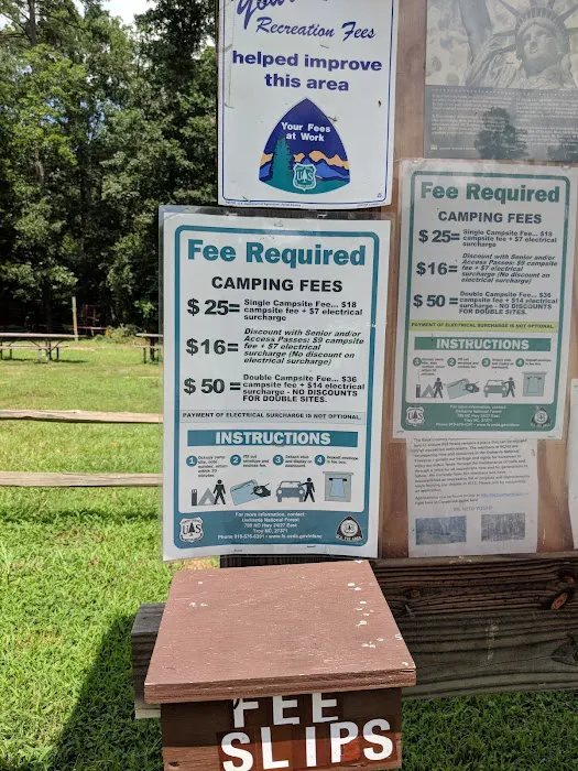 Canebrake Horse Camp Picture 5