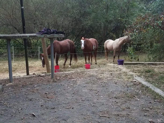 Canebrake Horse Camp Picture 8