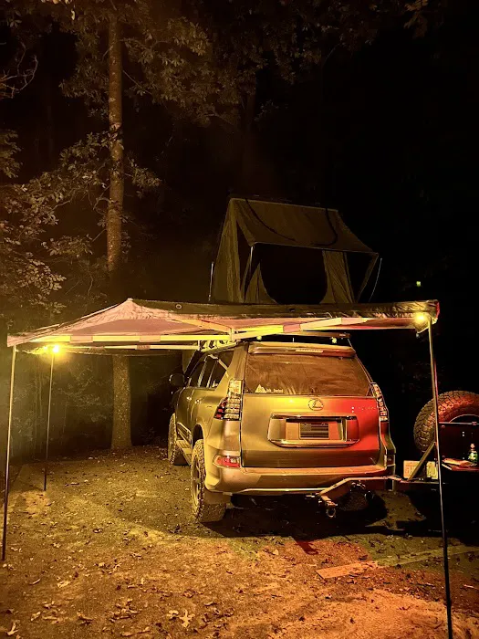 Badin Lake Group Campground Picture 1