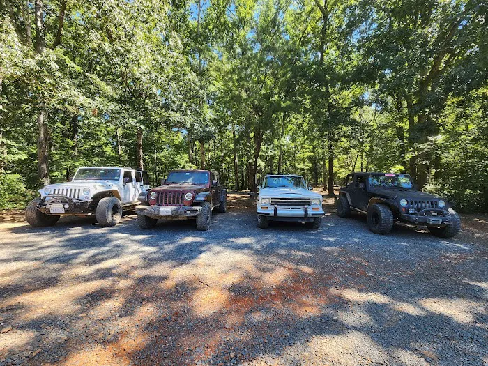 Badin Lake Group Campground Picture 2