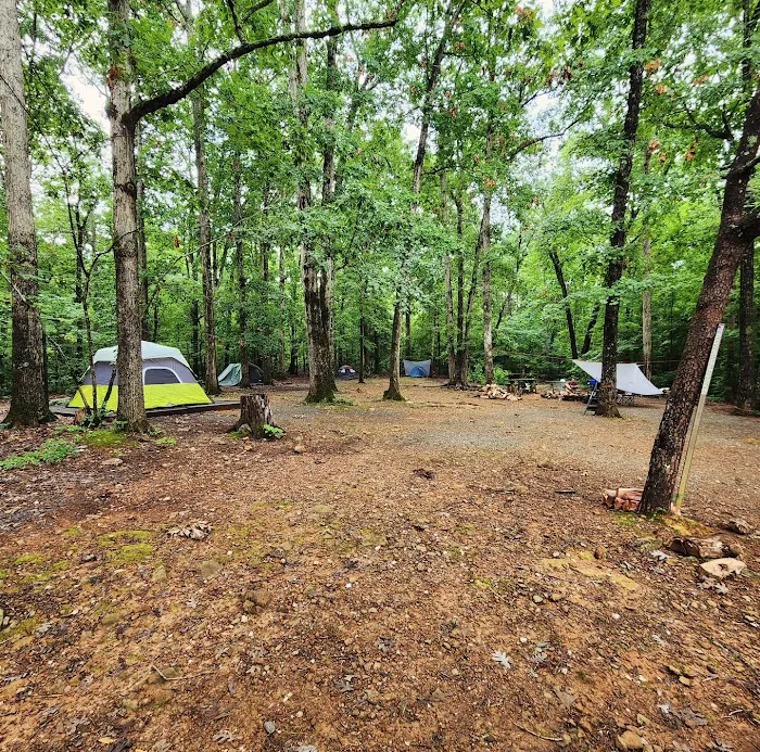 Badin Lake Group Campground Picture 10