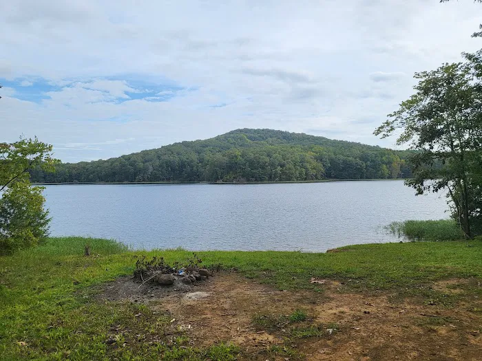 Badin Lake Campground Upper Loop Picture 1