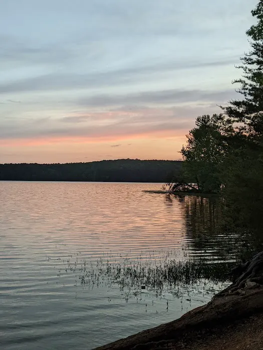Badin Lake Campground Upper Loop Picture 6