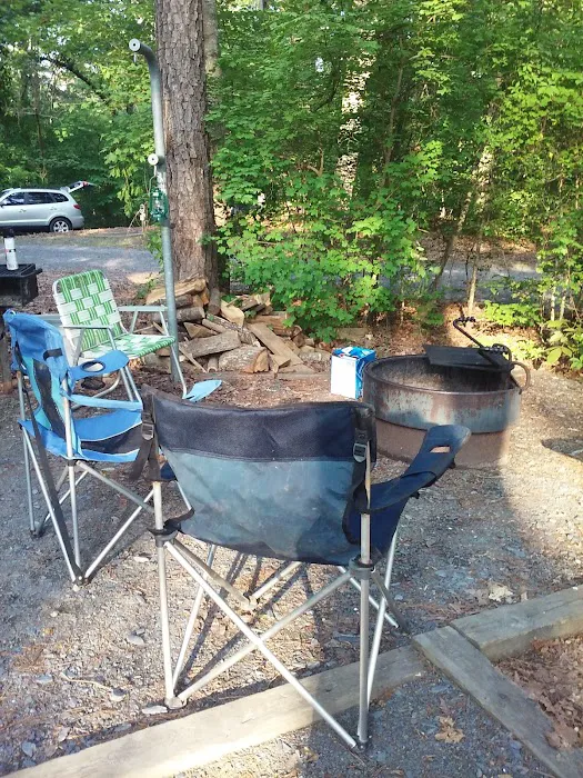 Badin Lake Campground Upper Loop Picture 4