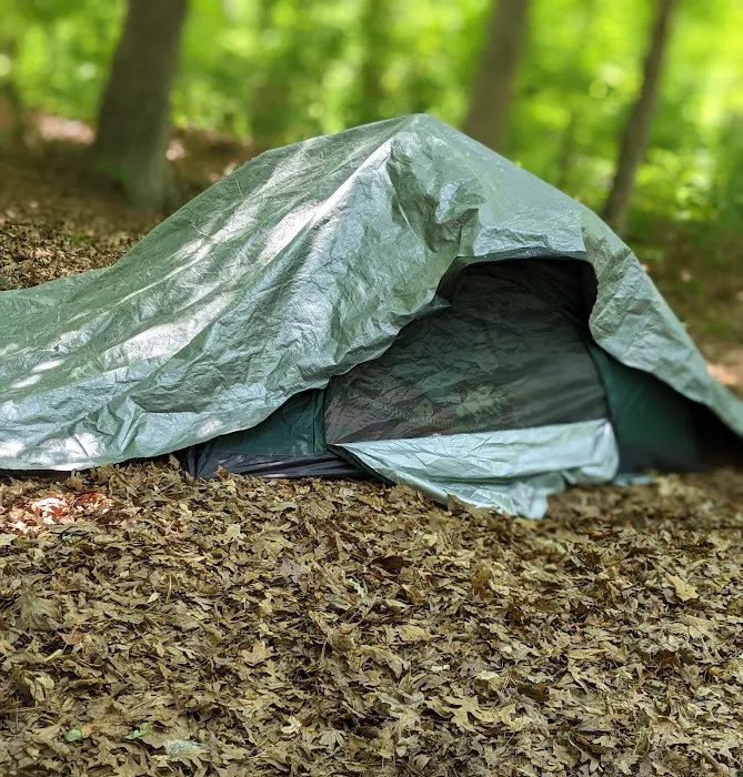 Badin Lake Campground Upper Loop Picture 10