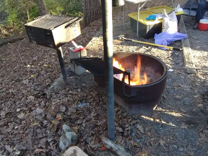 Badin Lake Campground Upper Loop Picture 9