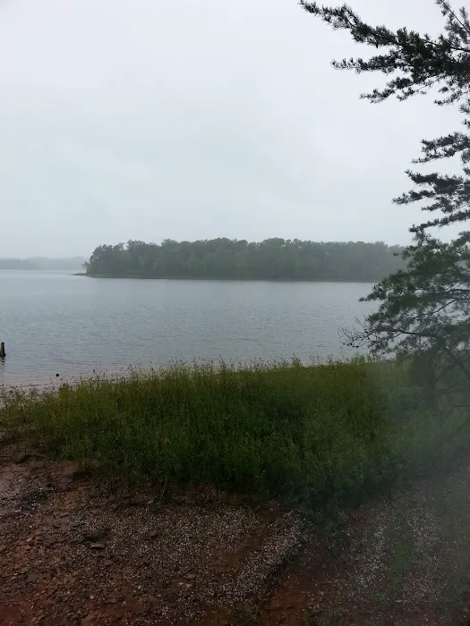 Badin Lake Campground Upper Loop Picture 3
