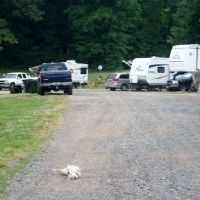 Golden Pond Campground ico